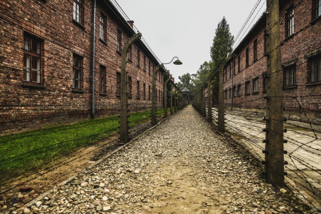Interview with a Holocaust Survivor: Dr Edith Eger by Marie Forleo
