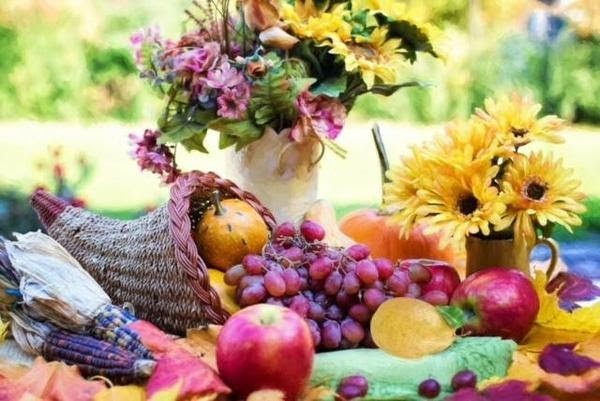 What are Damp Foods
& Why Should I Remove Them?