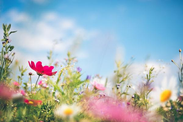 Spring Energetics